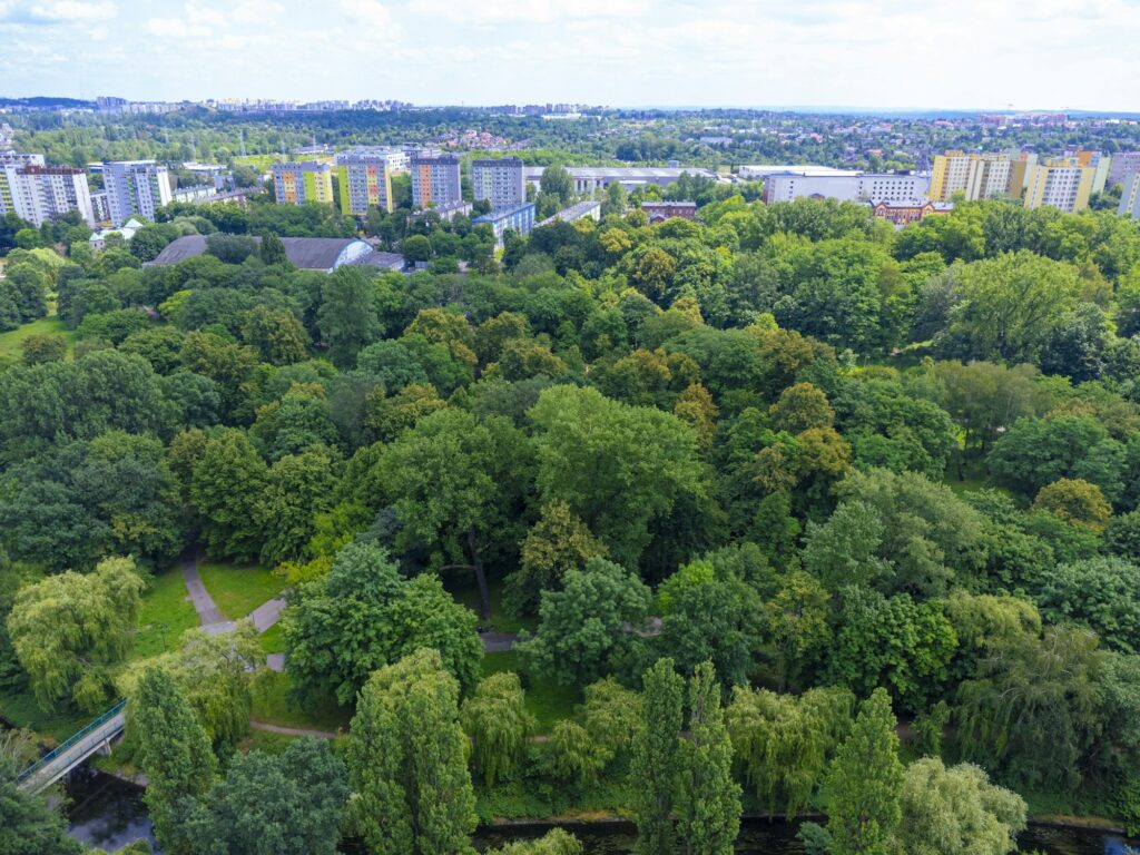 Park in the city